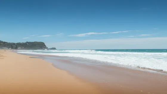 Avoca Beach