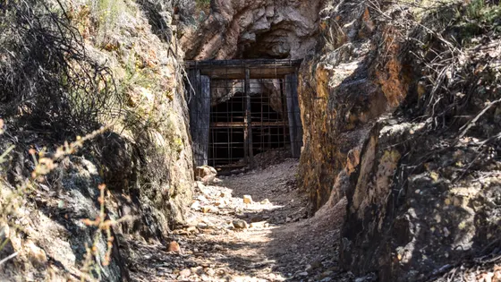 Balaclava Mine, Whroo