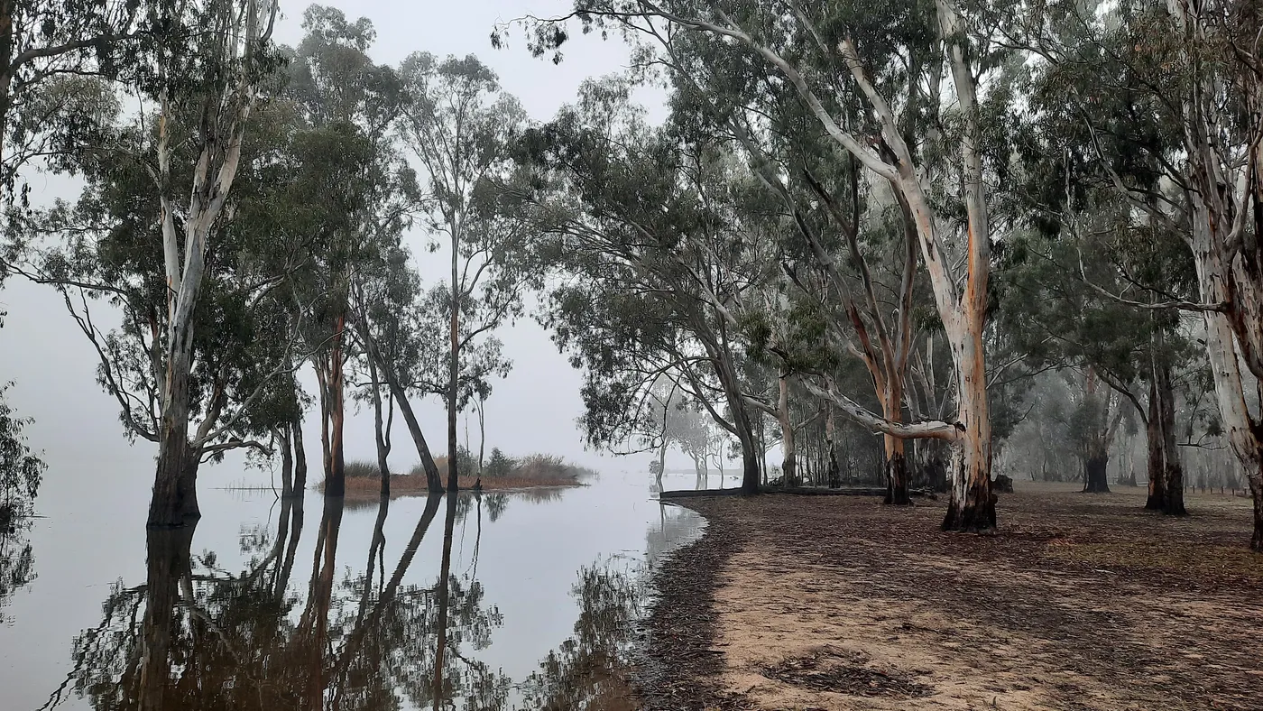 Barmah Lakes