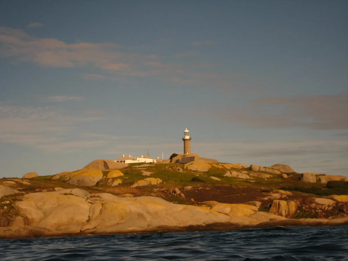Barunguba Montague Island