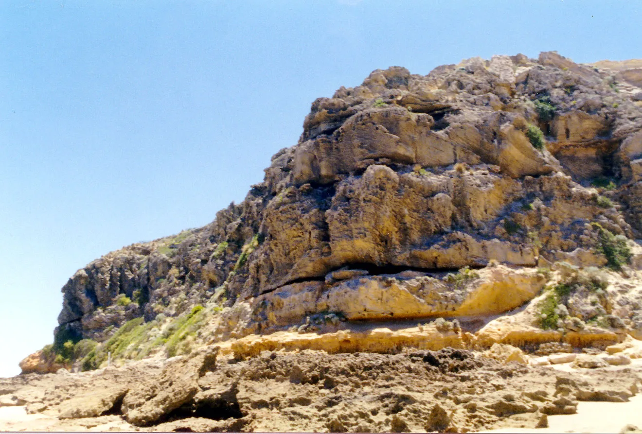 Barwon Bluff