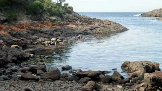 Bass Point Reserve