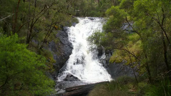 Beedelup Falls