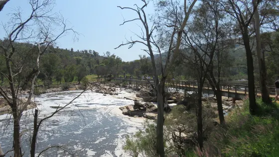 Bells Rapids