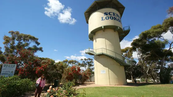 Berri Watertower Lookout