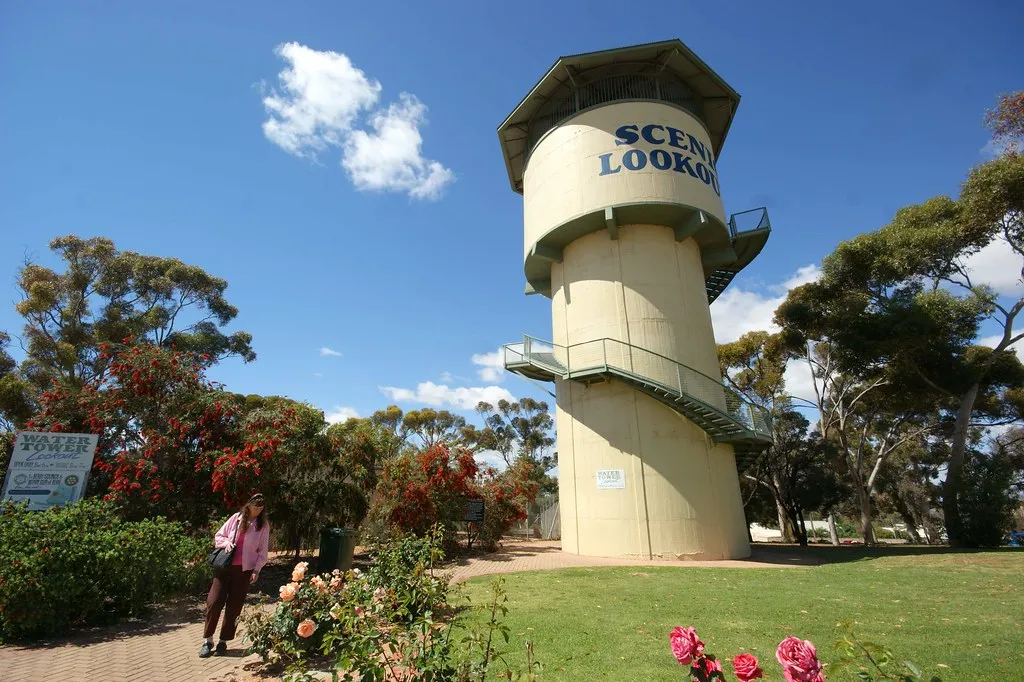 Berri Watertower Lookout