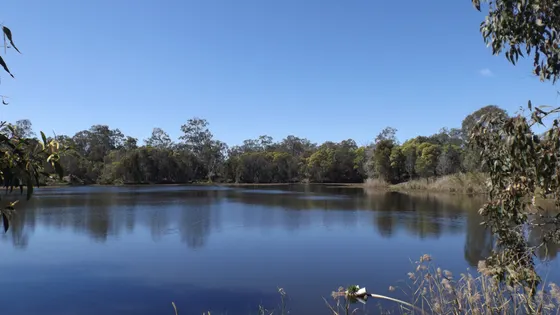 Berrinba Wetlands