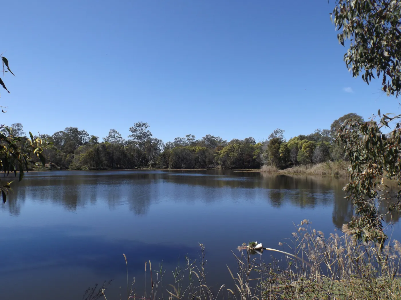 Berrinba Wetlands