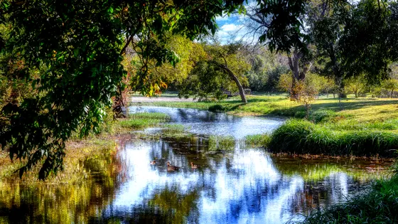 Berry Springs
