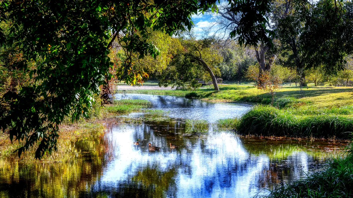 Berry Springs