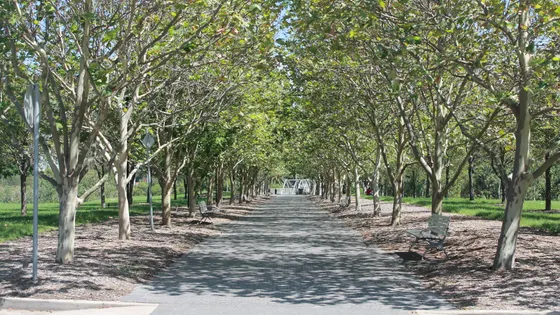 Bicentennial Park