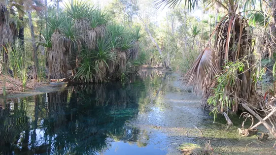 Bitter Springs