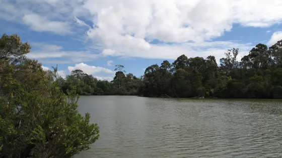 Blackburn Lake Sanctuary