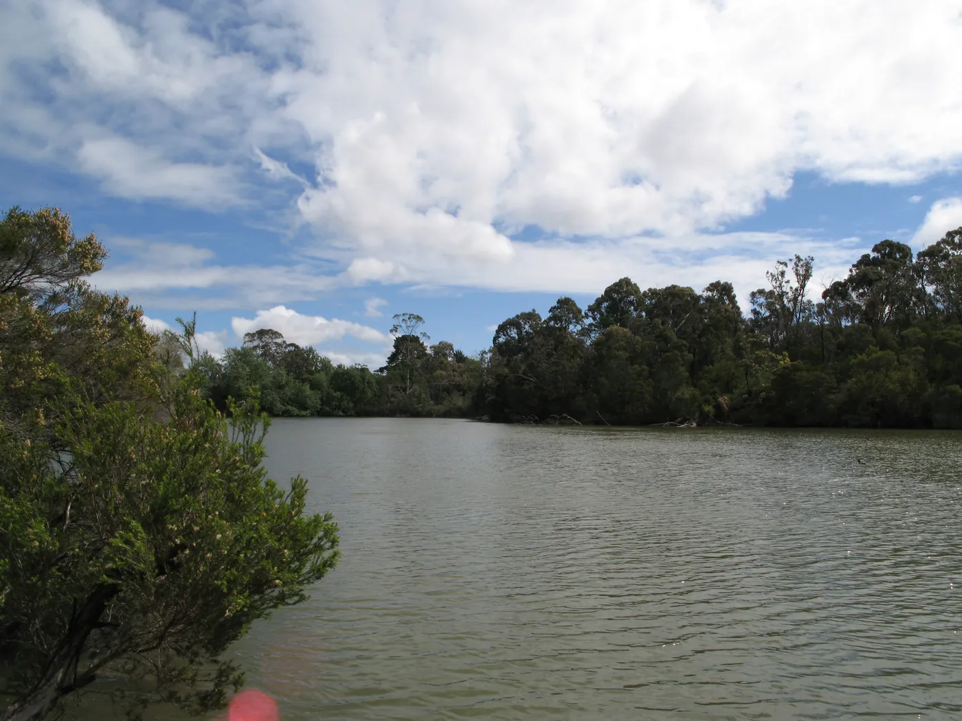 Blackburn Lake Sanctuary