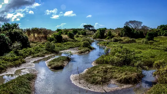Bluewater Trail