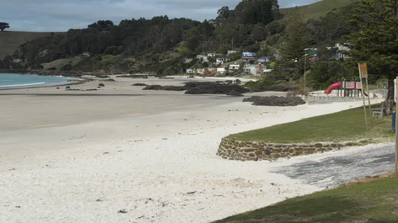 Boat Harbour Beach