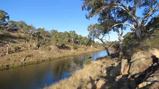 Bombala Platypus Reserve