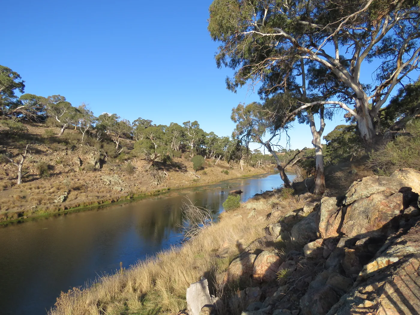 Bombala Platypus Reserve