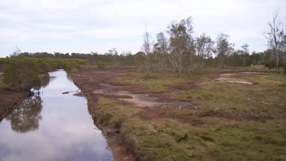 Boondall Wetlands
