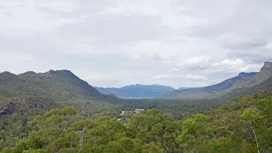 Boronia Peak