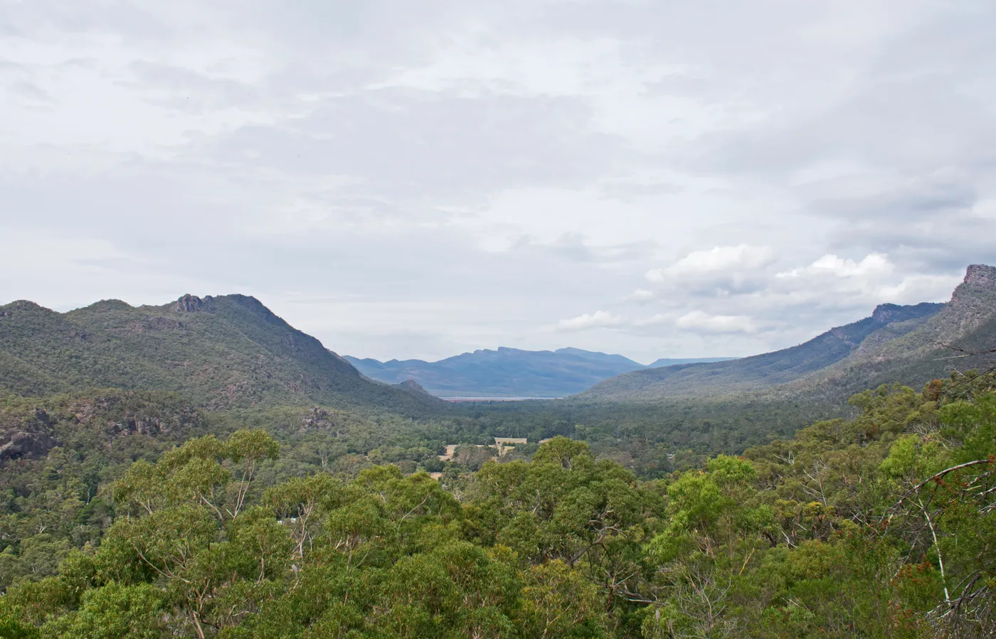 Boronia Peak