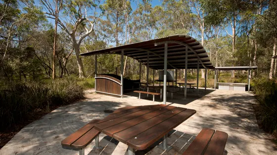 Brisbane Koala Bushlands