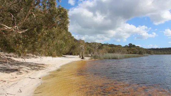 Bummiera (Brown Lake)