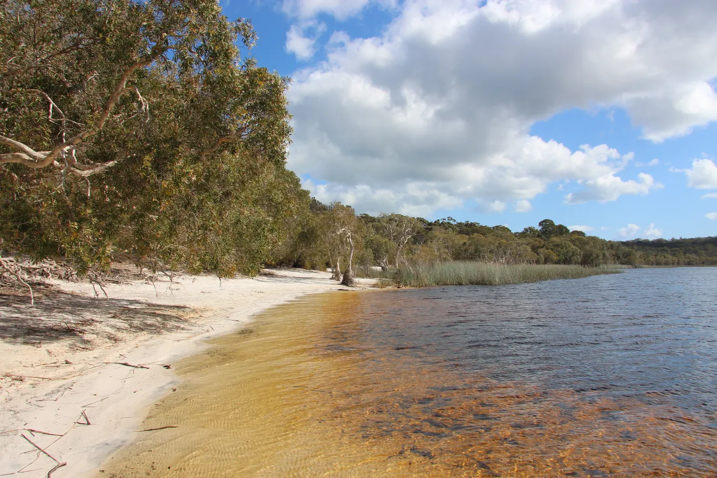 Bummiera (Brown Lake)