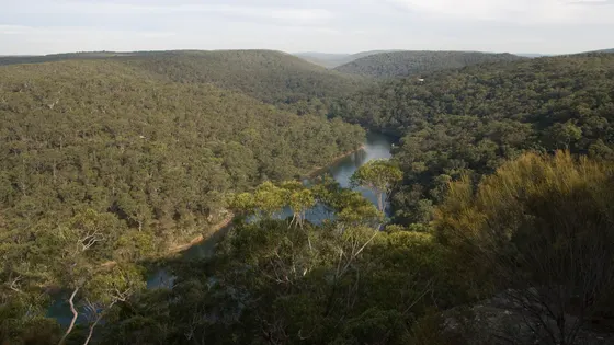 Bungoona Lookout