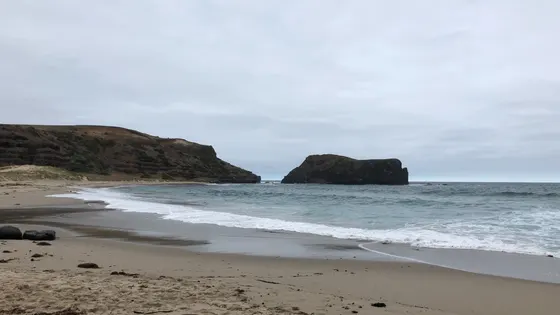 Bushrangers Bay Walk
