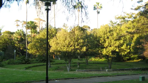 Callan Park