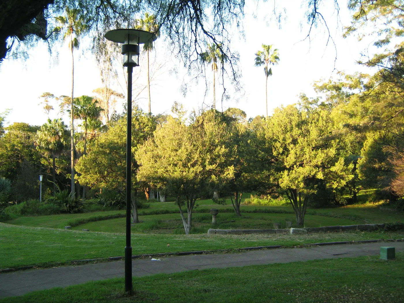 Callan Park