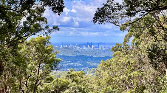 Camp Mountain lookout
