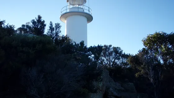Cape Tourville