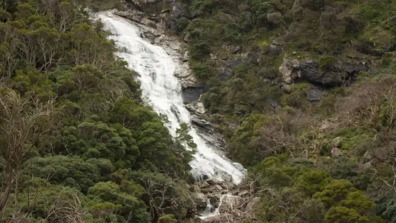 Carisbrook Falls