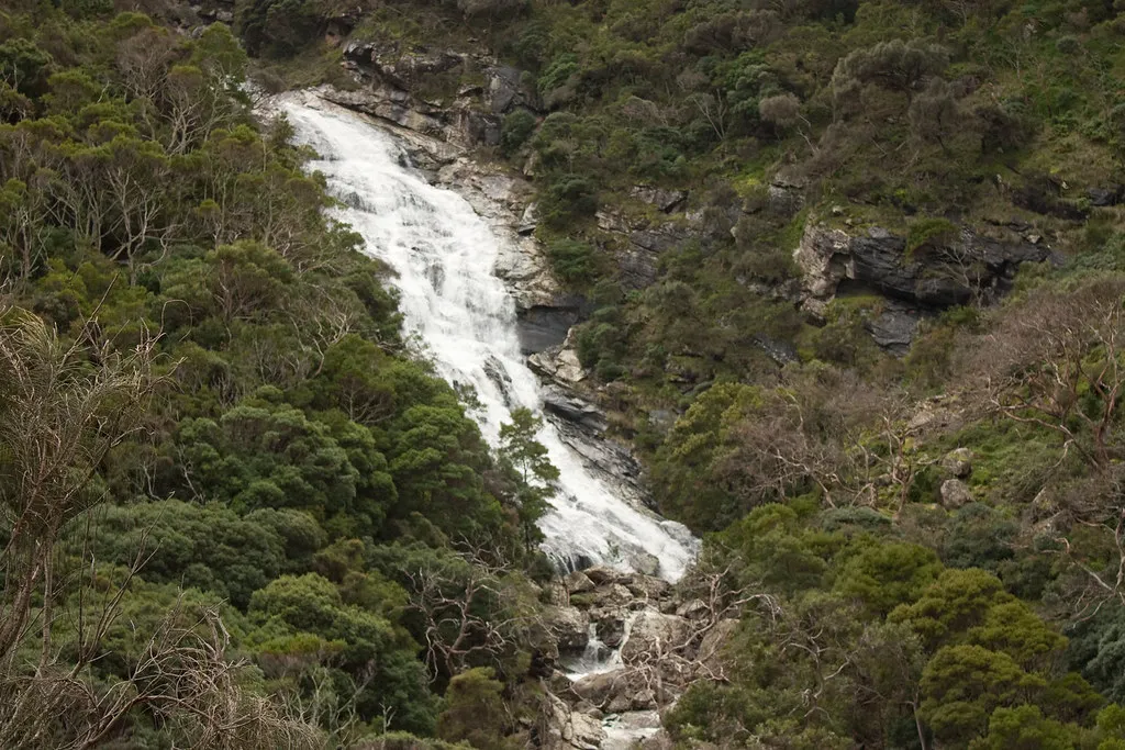 Carisbrook Falls