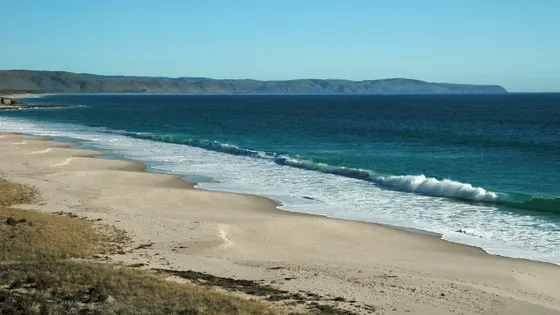 Carrickalinga Beach