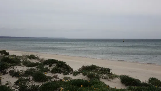 Carrum Beach