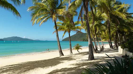 Catseye Beach