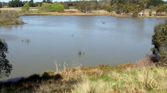 Cecil Hoskins Nature Reserve
