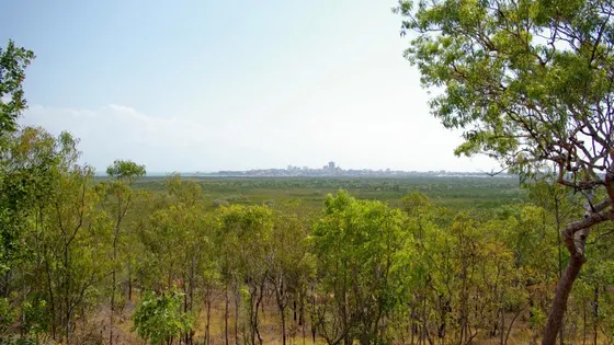 Charles Darwin National Park Lookout