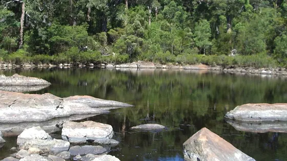 Circular Pool