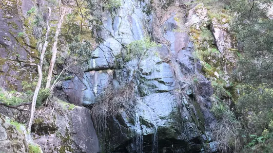 Clematis Falls