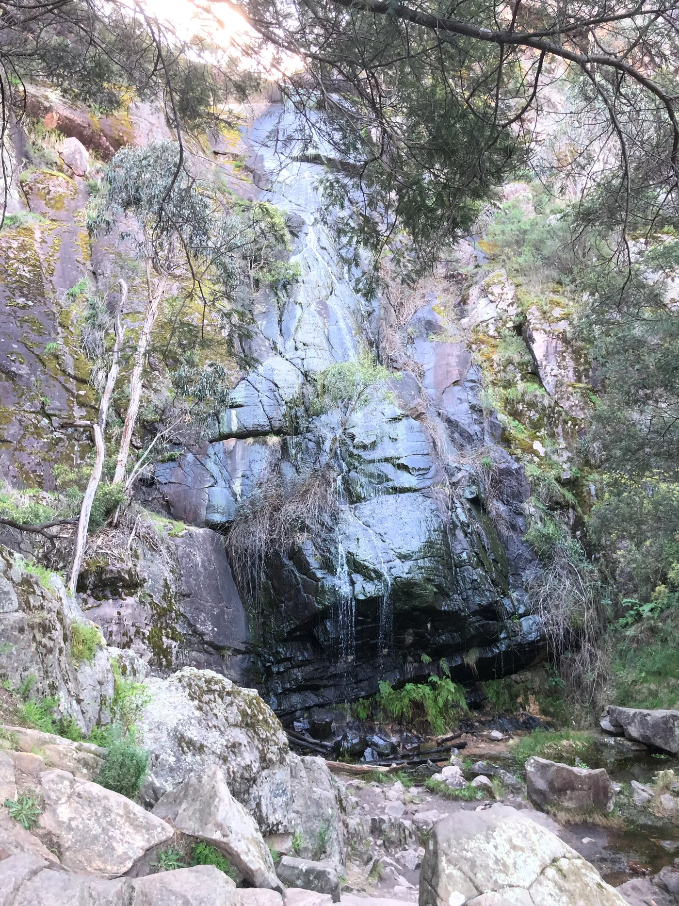Clematis Falls