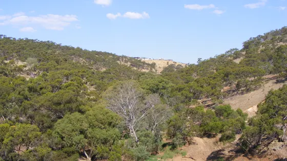 Cobbler Creek Recreation Park