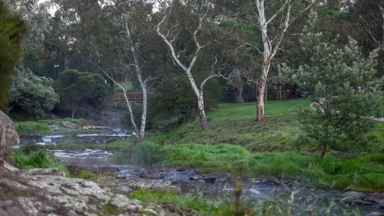 Coburg Lake Reserve