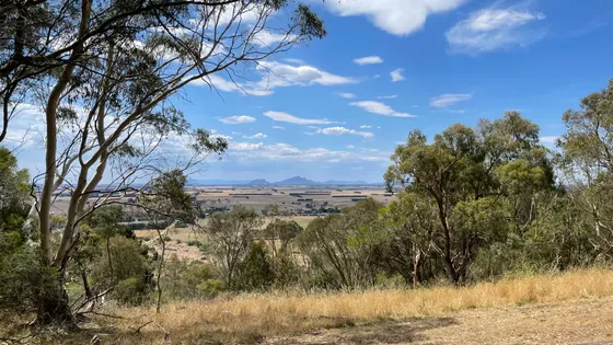 Collorrer (Mount Rouse)