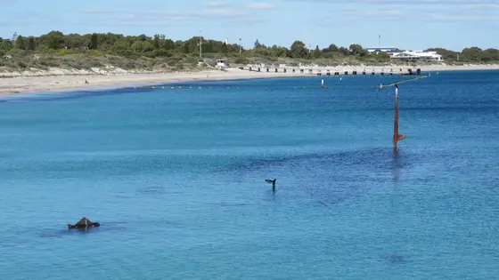 Coogee Maritime Trail
