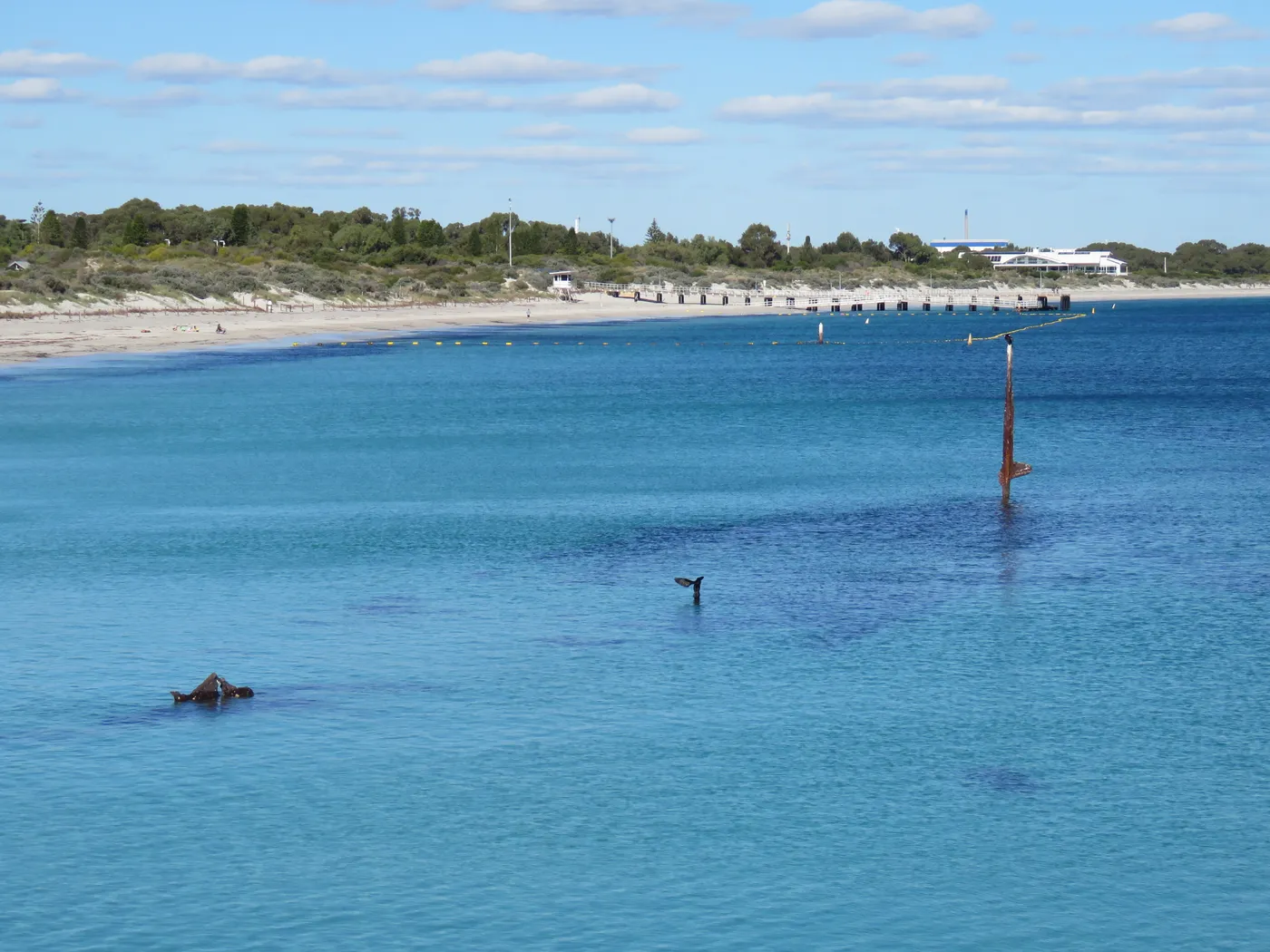 Coogee Maritime Trail