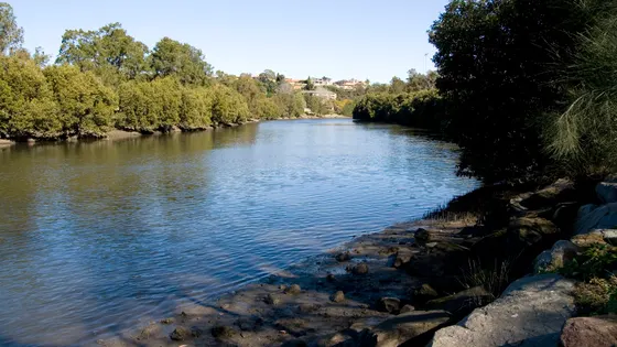 Cooks River Foreshore